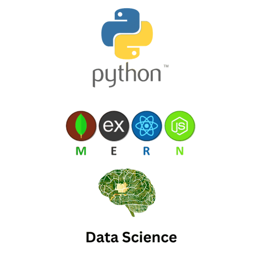 Python, MERN and Data Science Options